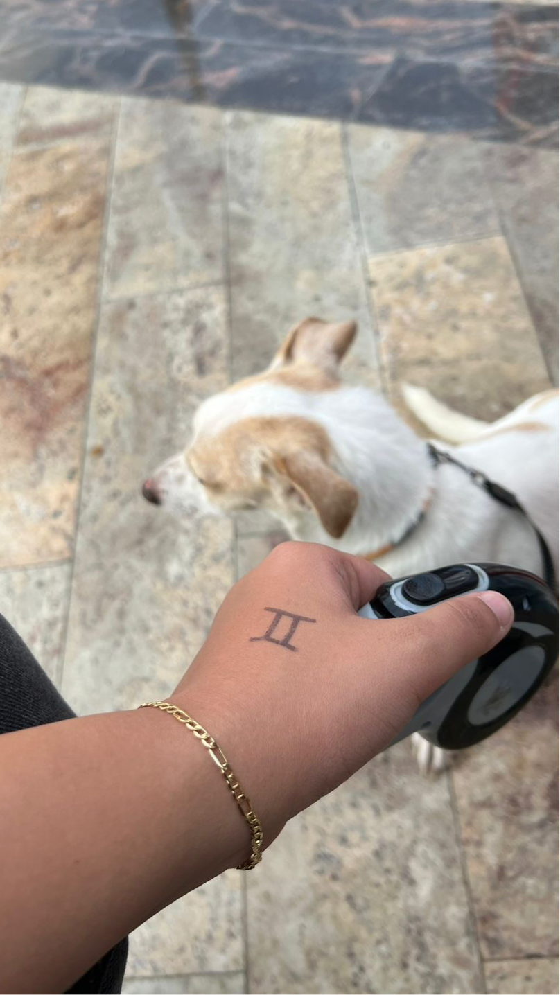 Astrological Gemini