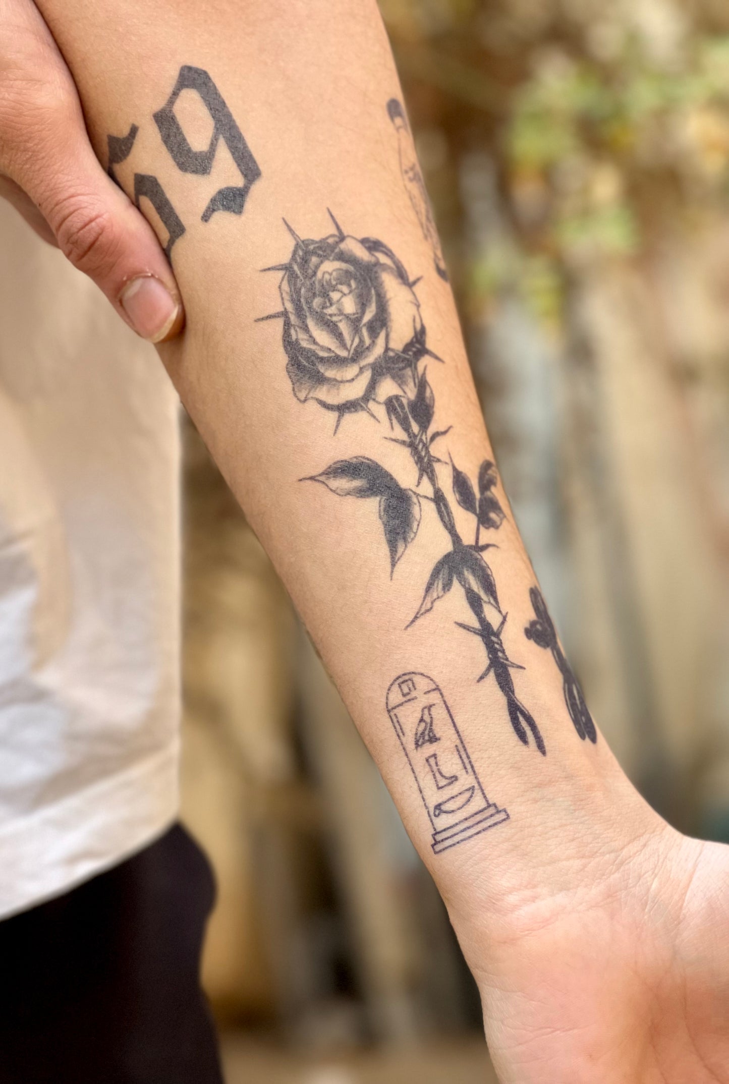 Barbed Rose