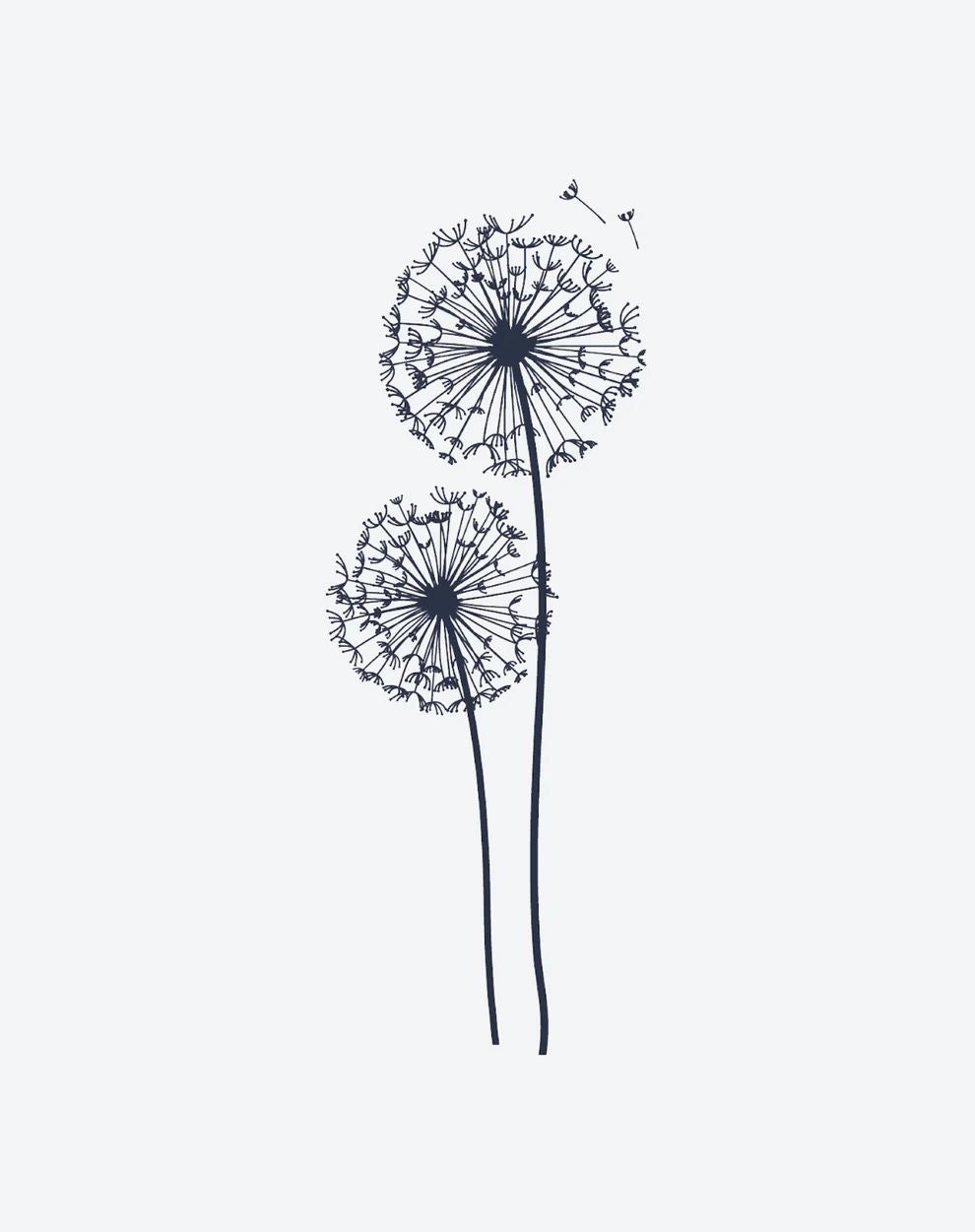 Dandelion Dreams