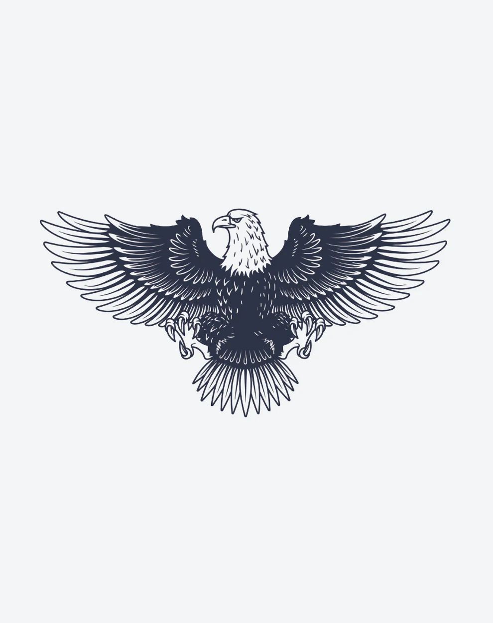 Eagle isolated