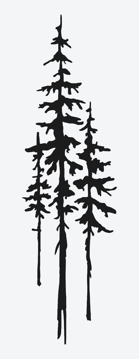 Pine