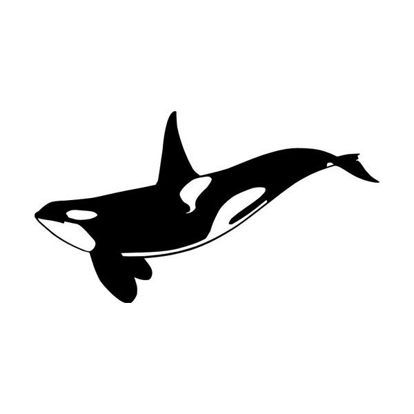 Orca