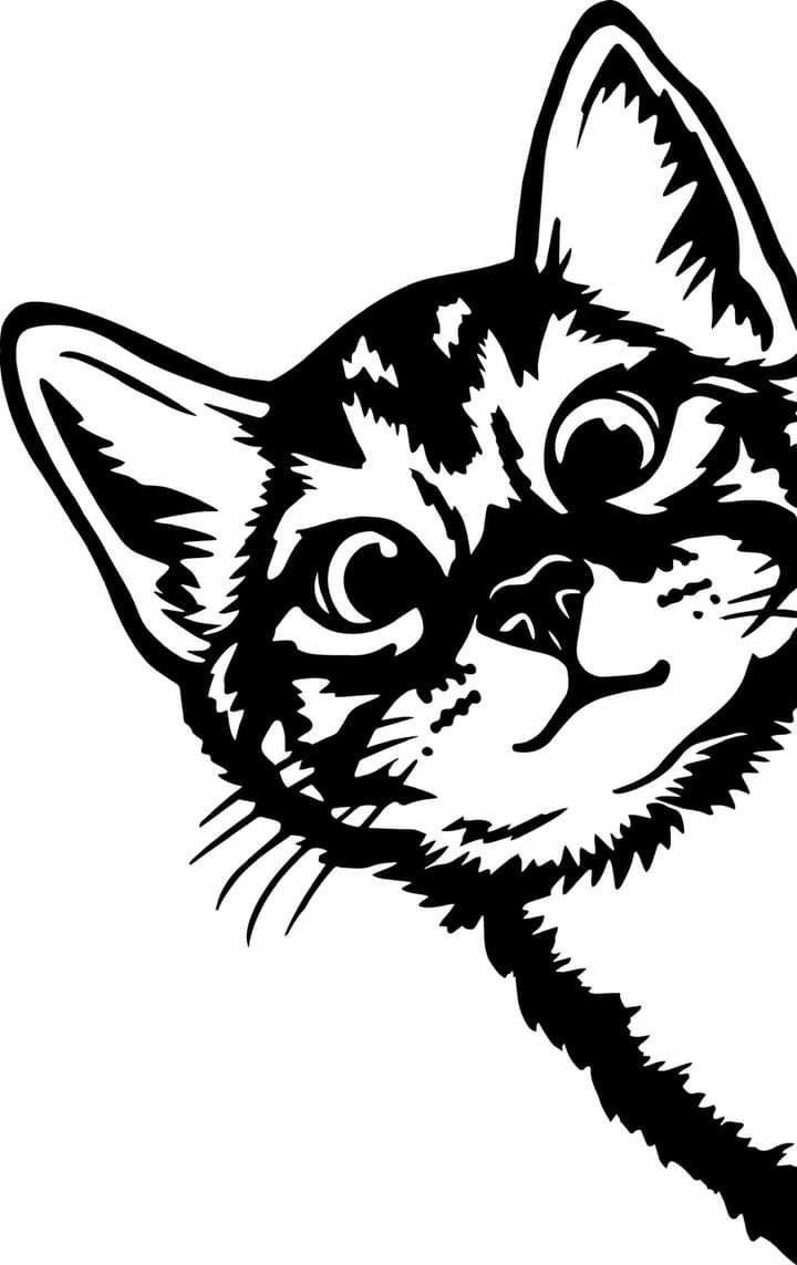 Cutie Cat