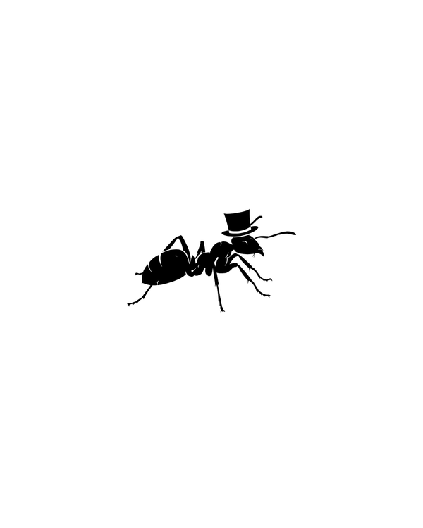 Gentle Ant