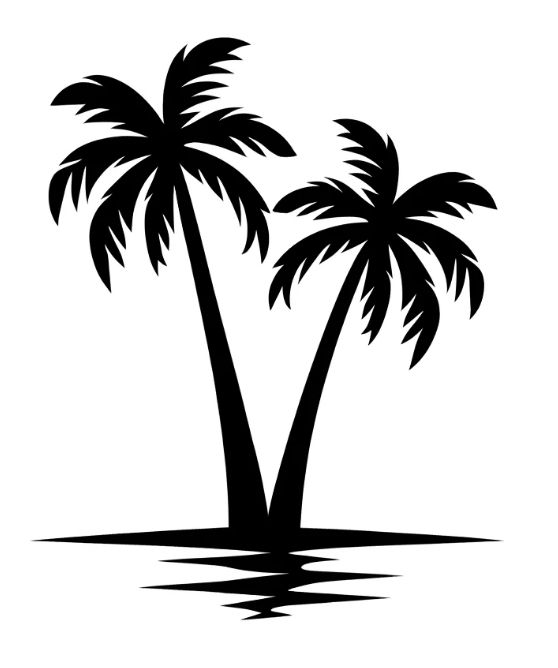 Twin Palms