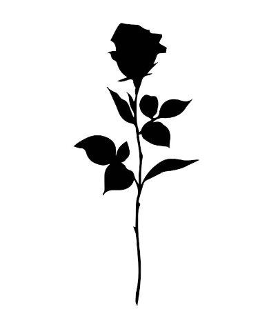 Fallen rose