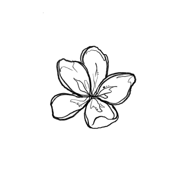 Darwin flower
