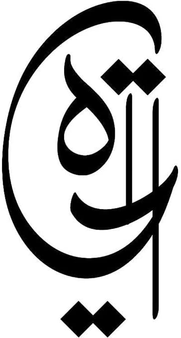 Life script