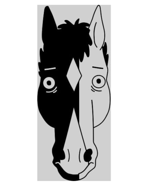 Black & white Horse