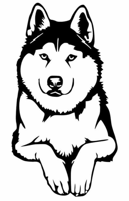 The Husky