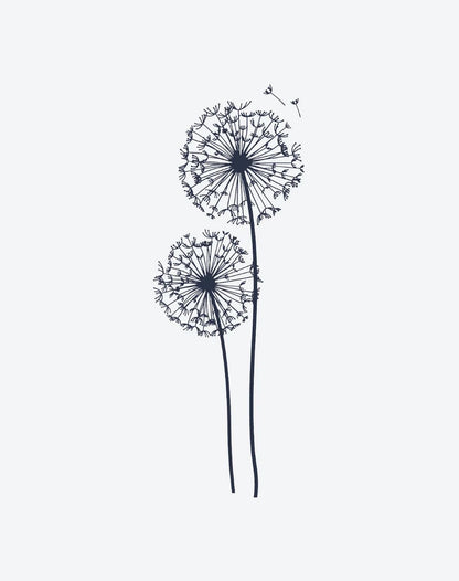 Dandelion Dreams