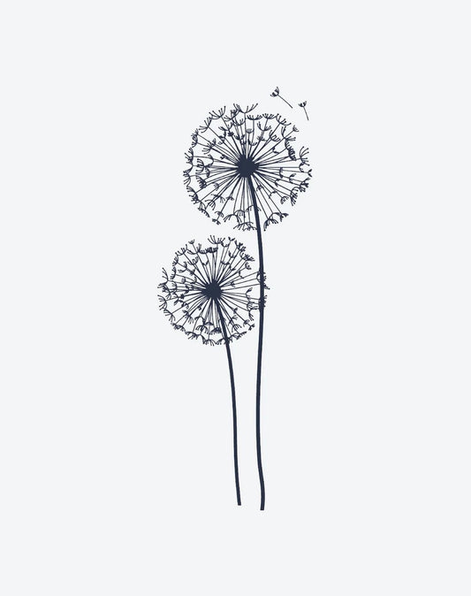 Dandelion Dreams