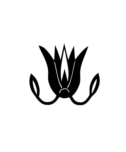 Egyptian lotus