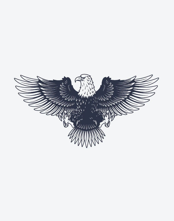 Eagle isolated