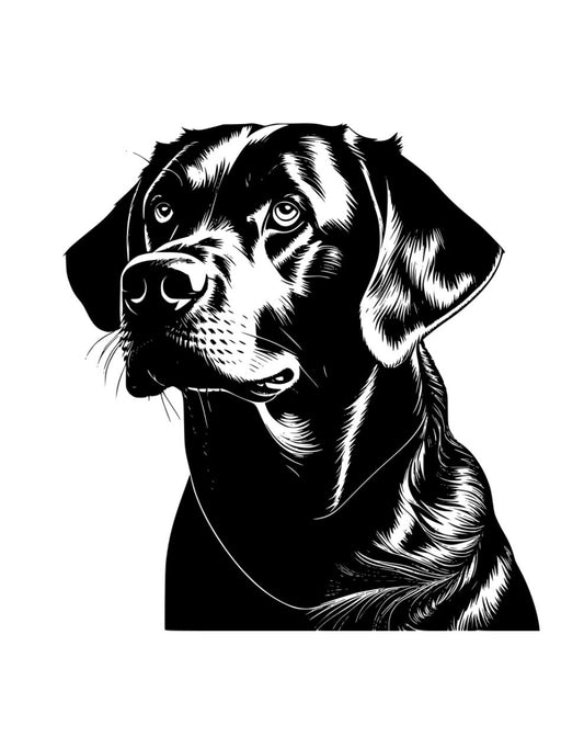 Loyal Lab