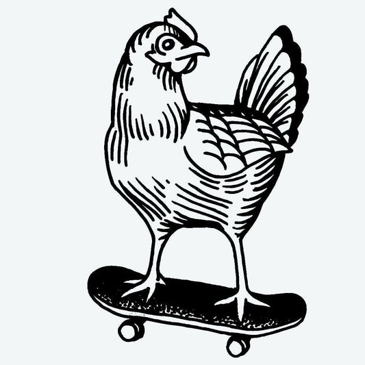 Rooster
