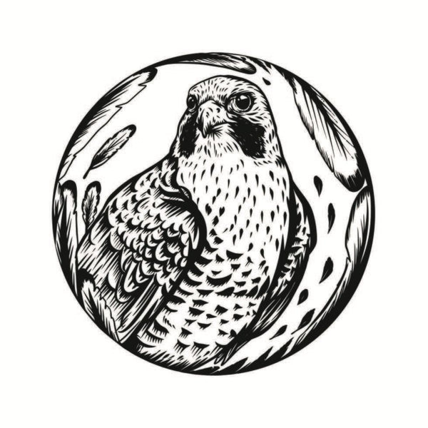 Falcon in circle