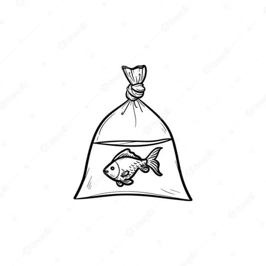 Cute fish