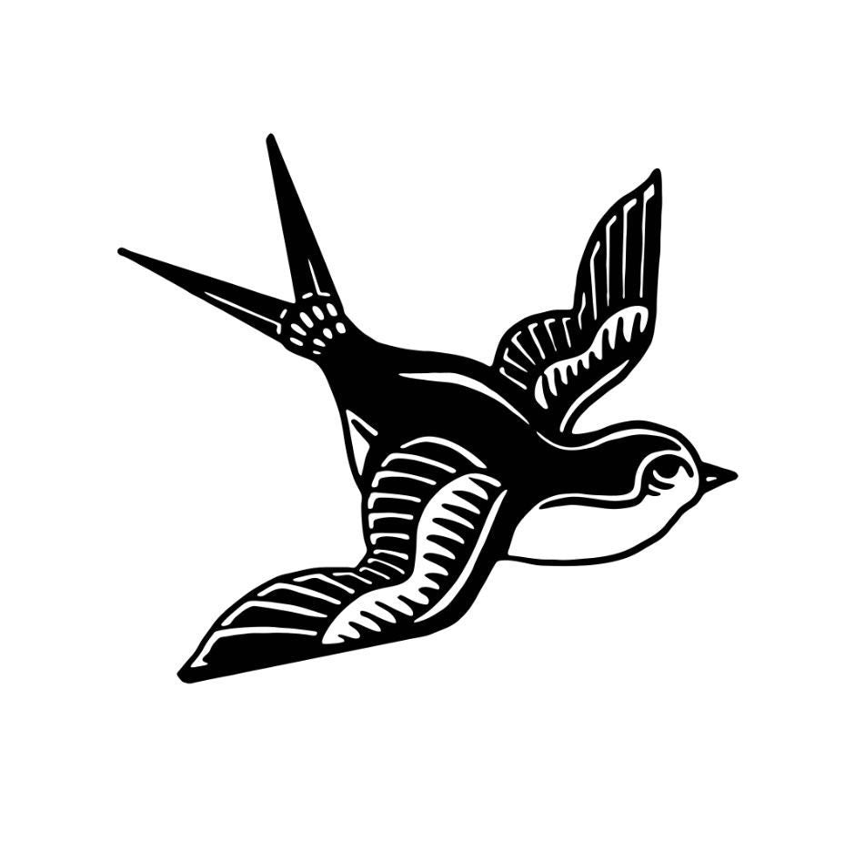 Swallow bird