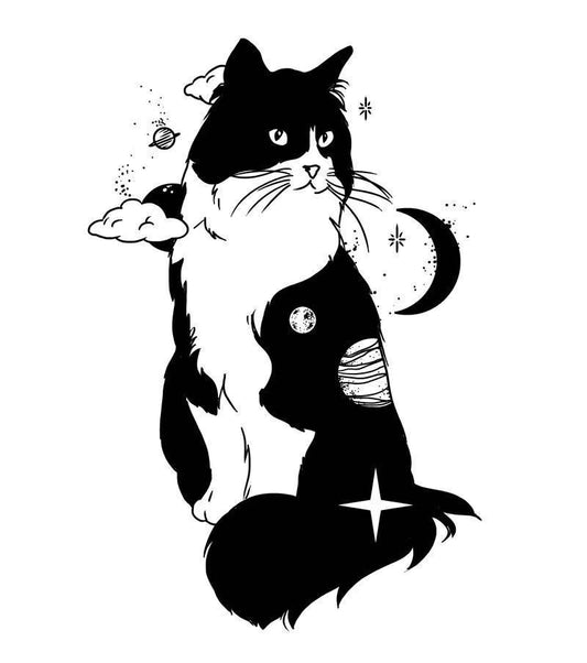 Galaxy cat