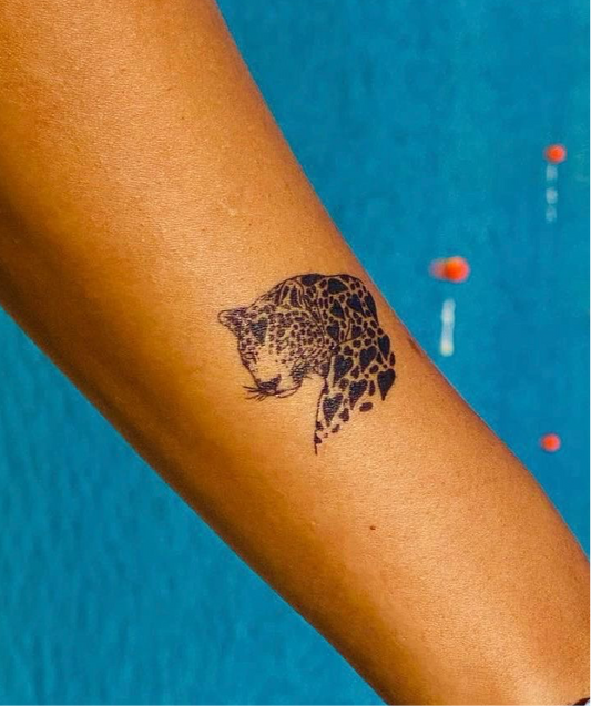Cheetah