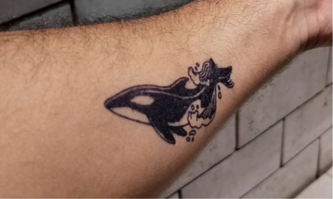 Playing whale