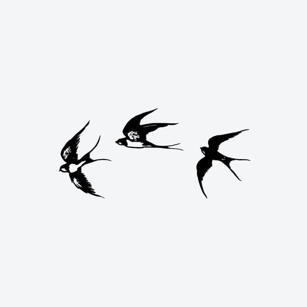 Sparrow