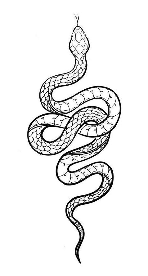 Xl Snake
