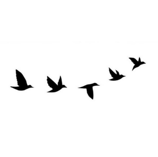 Free Birds